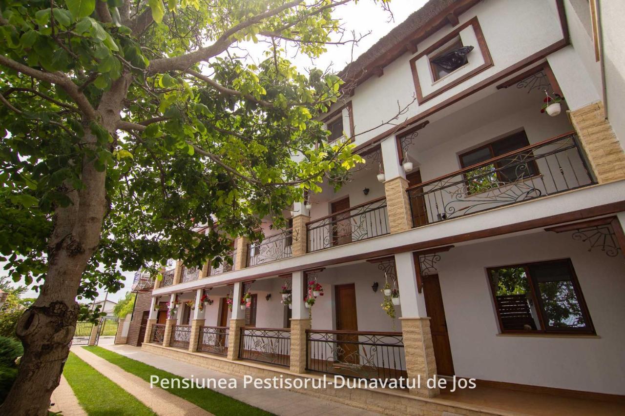 Pensiunea Pestisorul Дунавэцу-де-Жос Экстерьер фото
